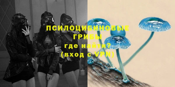 PSILOCYBIN Нефтегорск
