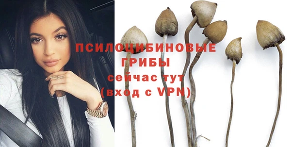 PSILOCYBIN Нефтегорск