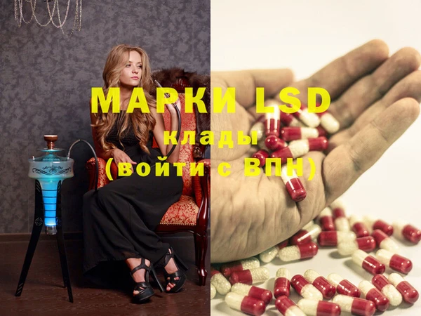PSILOCYBIN Нефтегорск