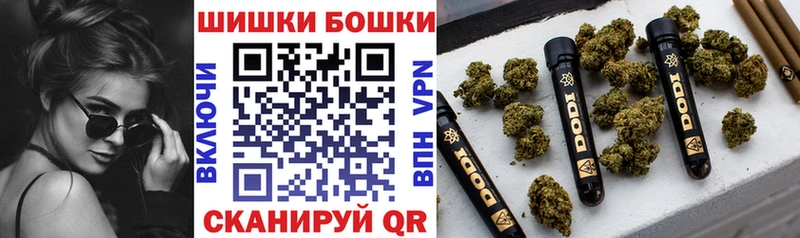 Бошки марихуана гибрид цена Новое Девяткино