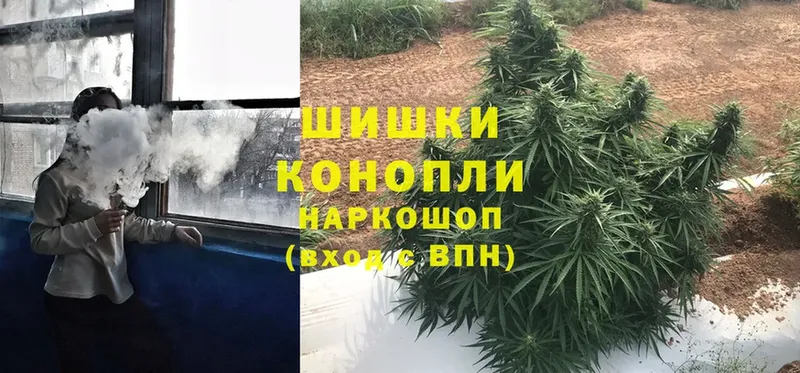 Бошки марихуана OG Kush  Новое Девяткино 